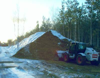 holz4.jpg